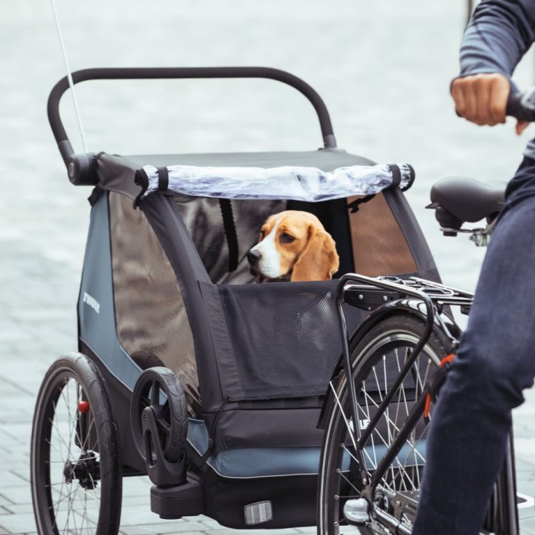 Dog bike hot sale stroller