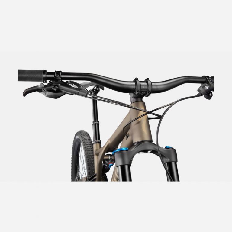 Stumpjumper Comp Alloy