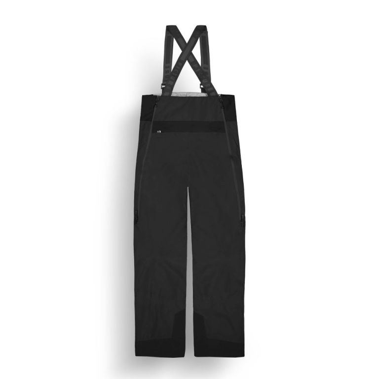 PICTURE25 W AERON 3L BIB PANTS