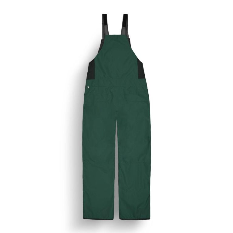 PICTURE25 TESTY BIB PANT